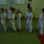 competition_karate_mions-enfant