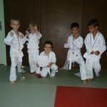 competiton_karate_rhone_alpes_region_lyon_mions
